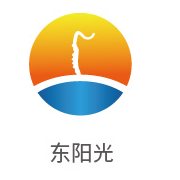 008PG国际合作伙伴：东阳光
