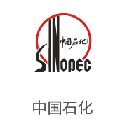 008PG国际合作伙伴：中国石化