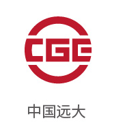 008PG国际合作伙伴：中国远大