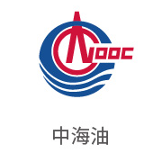 008PG国际合作伙伴：中海油