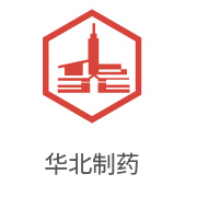 008PG国际合作伙伴：东北制药
