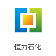 008PG国际合作伙伴：恒力石化