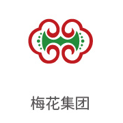 008PG国际合作伙伴：梅花集团