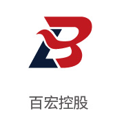008PG国际合作伙伴：百宏控股
