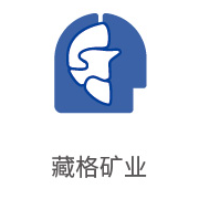 008PG国际合作伙伴：藏格矿业