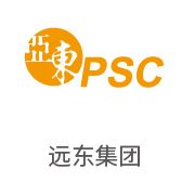 008PG国际合作伙伴：远东集团