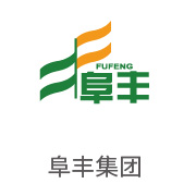 008PG国际合作伙伴：阜丰集团