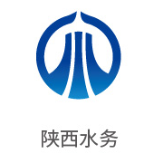 008PG国际合作伙伴：陕西水务