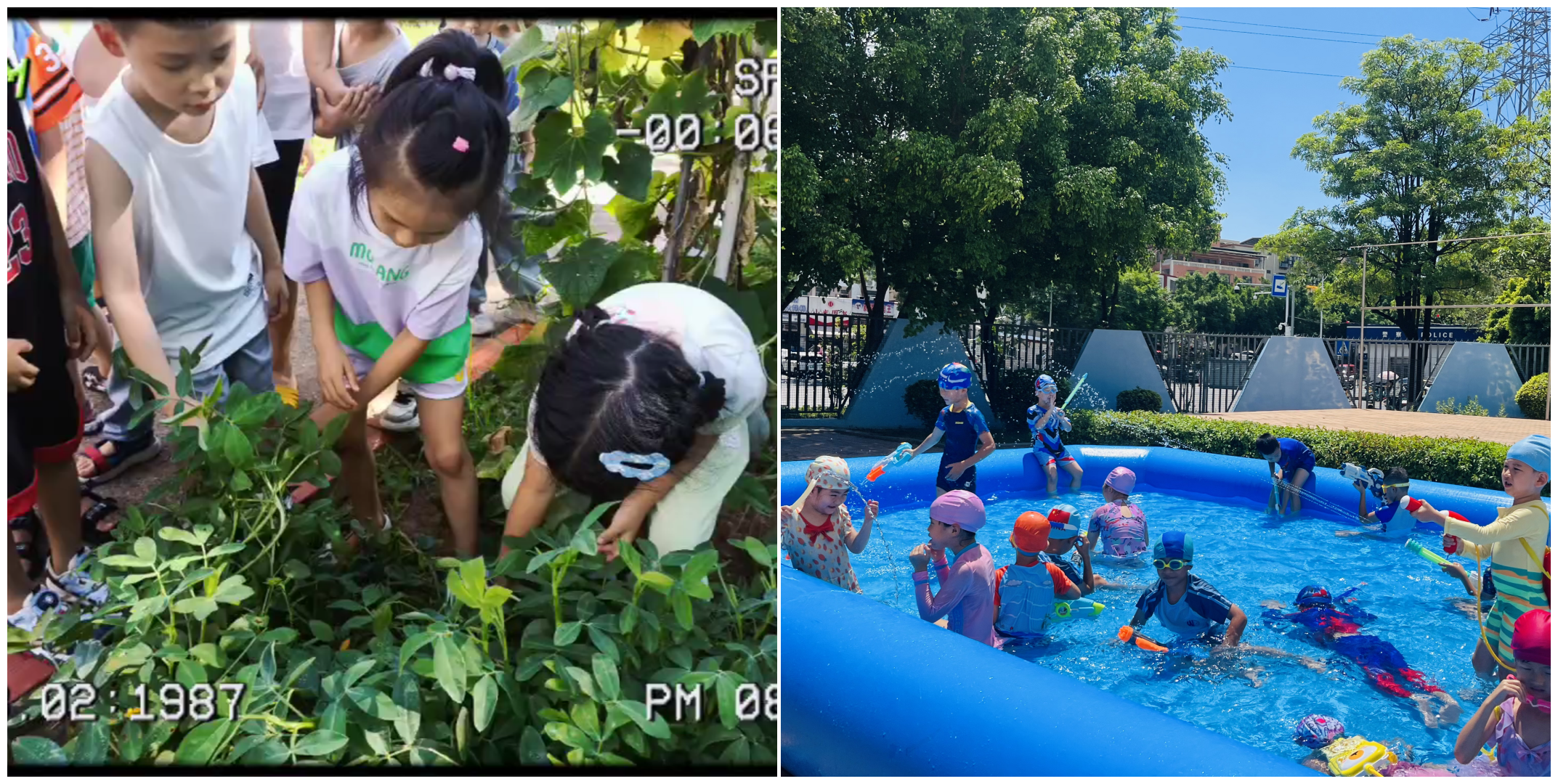 幼儿园 008PG国际(中国区)-官方网站