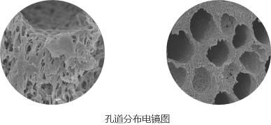 孔道分布电镜图 008PG国际(中国区)-官方网站